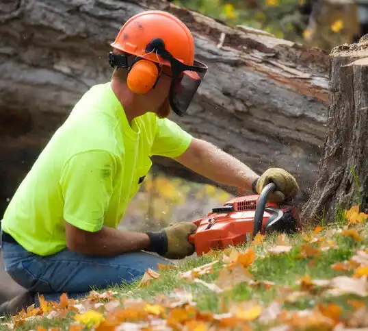 tree services Deming